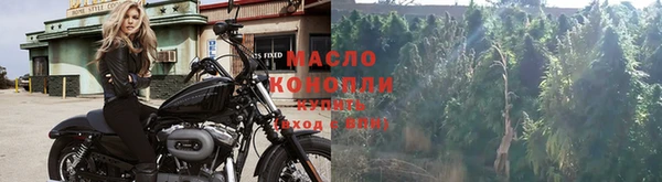 дживик Абаза