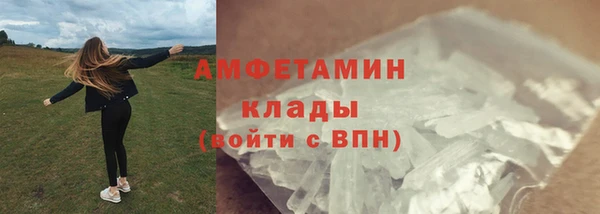 прущие грибы Абдулино