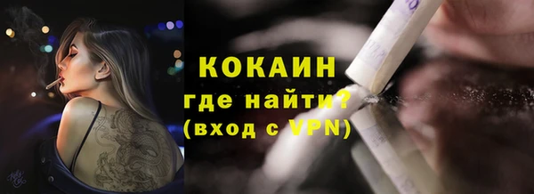дживик Абаза