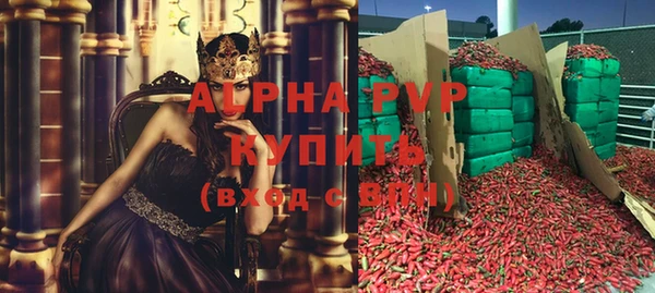 прущие грибы Абдулино