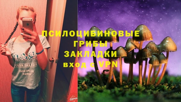молекула духа Новодвинск