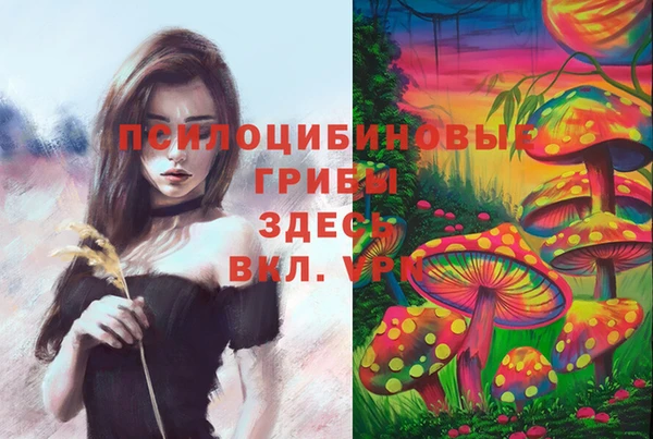 дживик Абаза