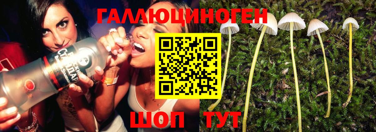 Псилоцибиновые грибы Magic Shrooms Иркутск